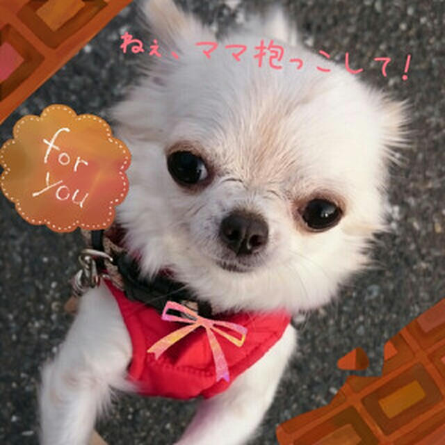 おねだり〜♡