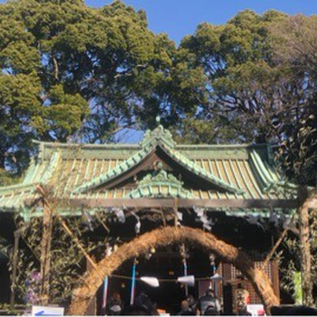 代々木八幡宮　初詣　１月3日に行ってきました　可愛いい鳩みくじ