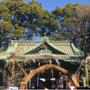 代々木八幡宮　初詣　１月3日に行ってきました　可愛いい鳩みくじ