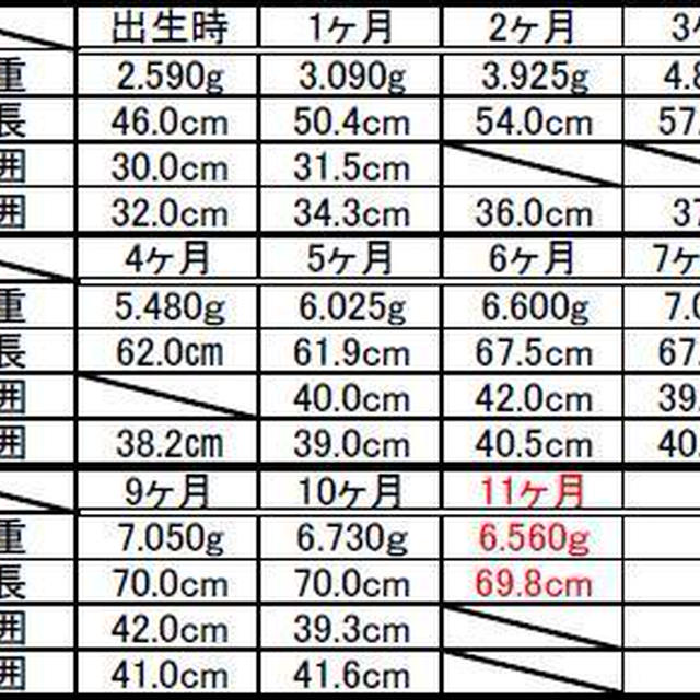 ﾟ･*:.｡.生後11か月の記録.｡.:*･ﾟ