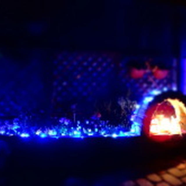 きょうこカフェ★暇人写真館～