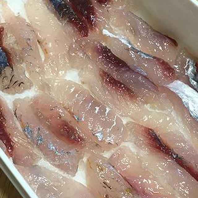 トビウオのアンチョビ(仕込中) I made salted flying fish substitute for salted anchovies!