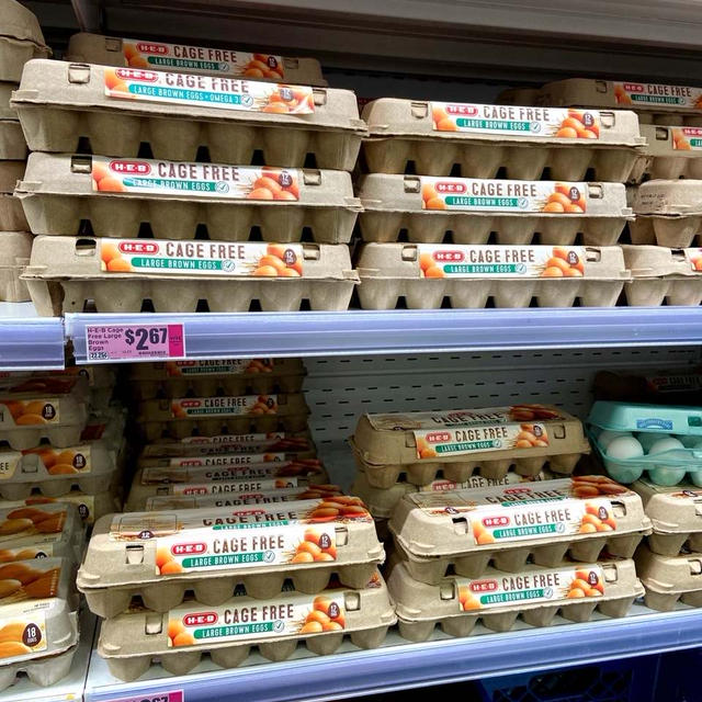 たまごのお値段