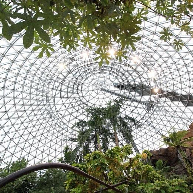 新潟県立植物園熱帯植物ドームを広角レンズで撮ってみました♪