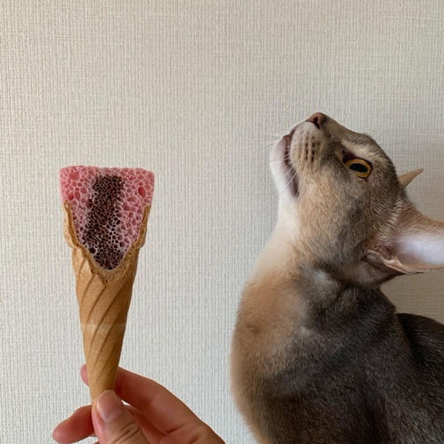 今日のおやつ「ジャイアントカプリコ」と、虫さんを見つけてしまったとの