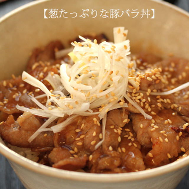 【即席濃厚豚バラ丼】～那須の庭でたき火でまったり～