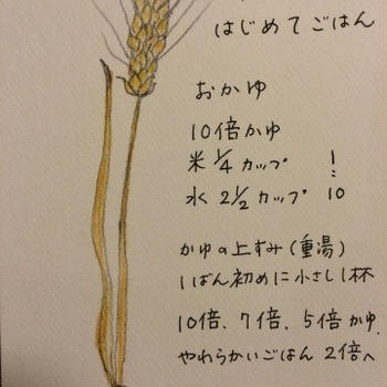 あまちゃんはじめてのごはん
