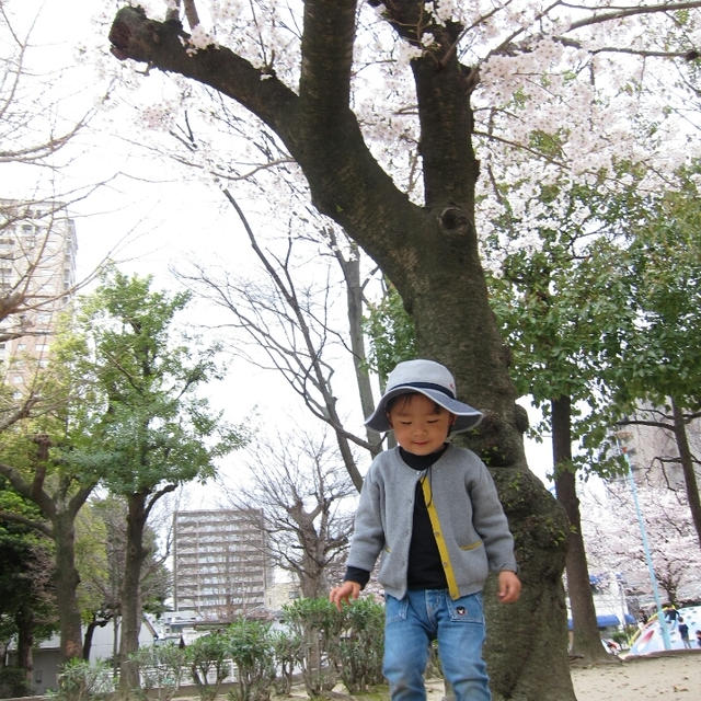 3歳になりました