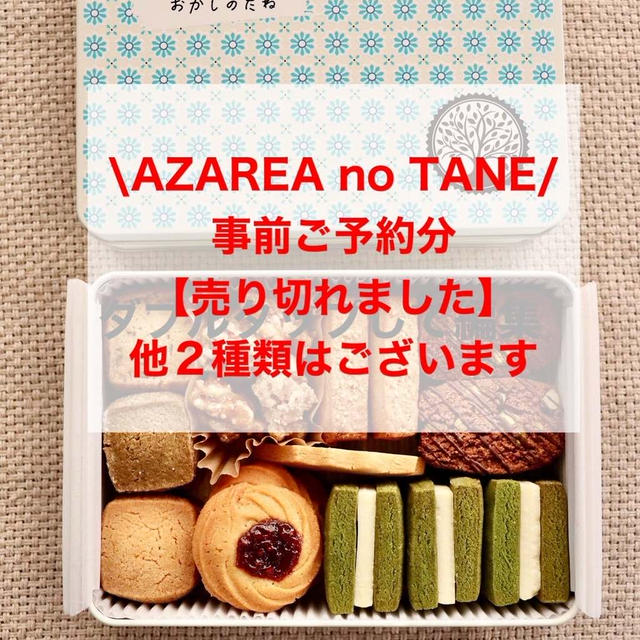 【昨日夕方　アザレア　売り切れ】他２種はまだ少し在庫あります