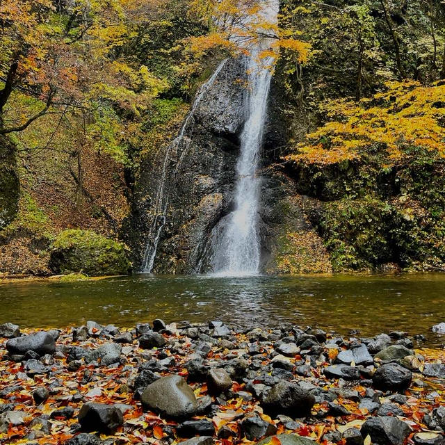 探さないで下さい。ここにいます。