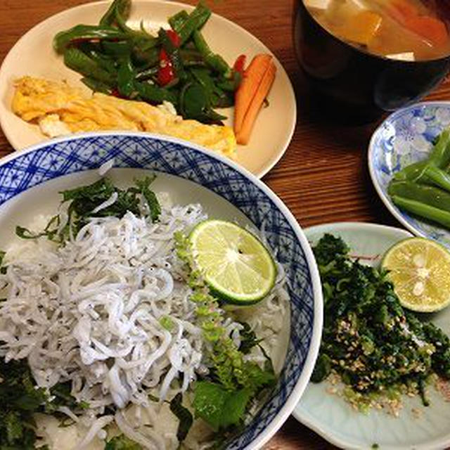 釜揚げしらす丼。休肝日のカレー。情報提供のお願い