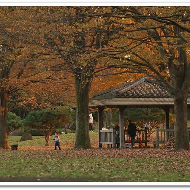 《県立相模原公園P-3》休日の夕暮れ時のスナップです＾＾