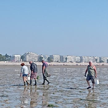 久々に潮干狩り la baule にて。