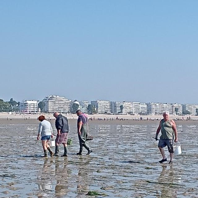 久々に潮干狩り la baule にて。