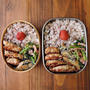 9/27(火)もやしつくね弁当