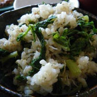 浅漬けの素で作る大根菜飯
