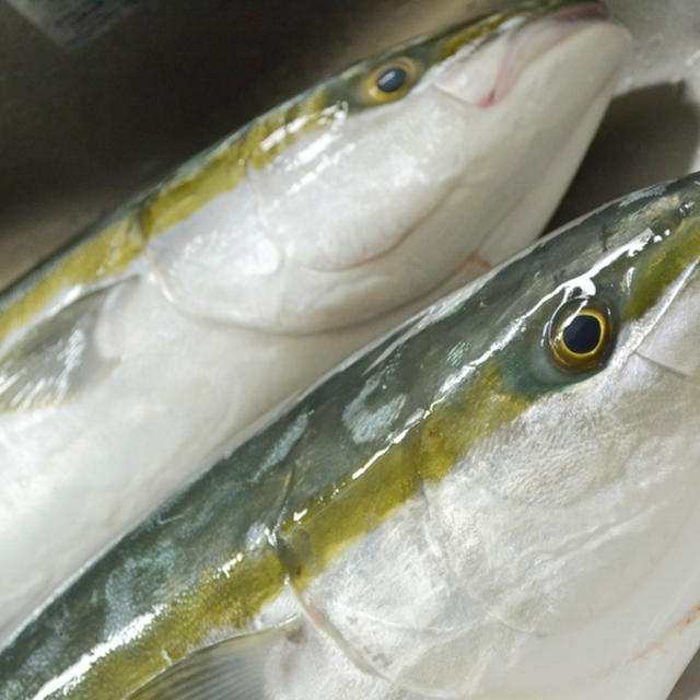 北欧風＆コダワリの健康ご飯とダンナさんの釣果