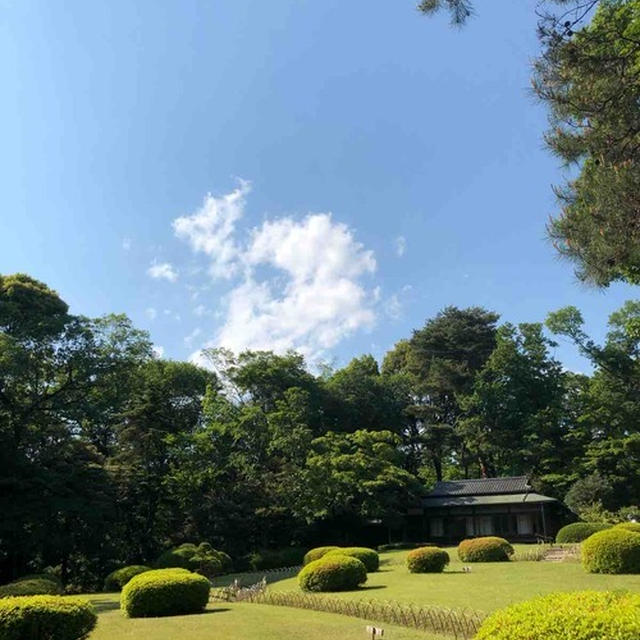明治神宮のパワースポット！