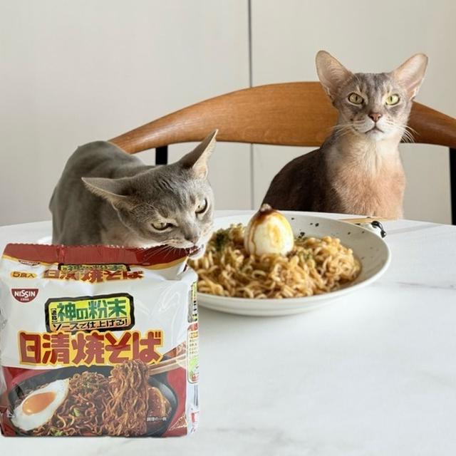 GACKTの神の粉末ソースが気になりすぎて食べた