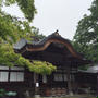 【　一番近所の観光地　深大寺　】