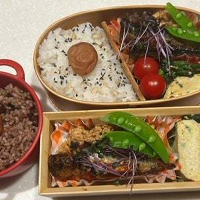 スーパースター・小イワシの煮つけ弁当