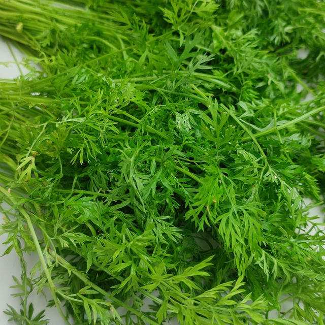 家庭菜園と再生野菜？