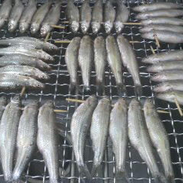 モロコ 焼き方 By 魚屋さんさん レシピブログ 料理ブログのレシピ満載