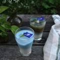 Butterfly Pea Latte バタフライピーラテ