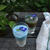 Butterfly Pea Latte バタフライピーラテ