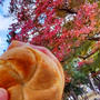志津屋のパンでさくっとお昼。奈良公園の紅葉みながら