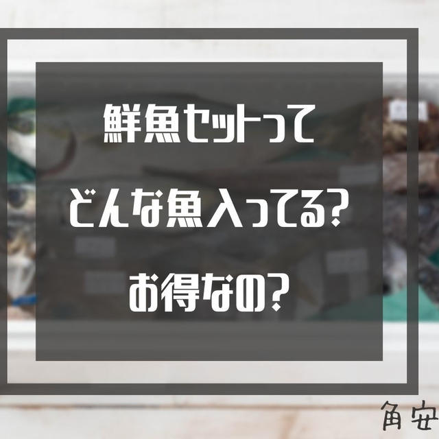 【レビュー】角安商店で6000円の鮮魚セット買ってみた♪中にはどんな魚が？お得なの？