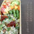 弁当File Vol.403 2016/8/5