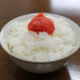 明太子で炊きたてご飯