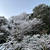 雪のお正月
