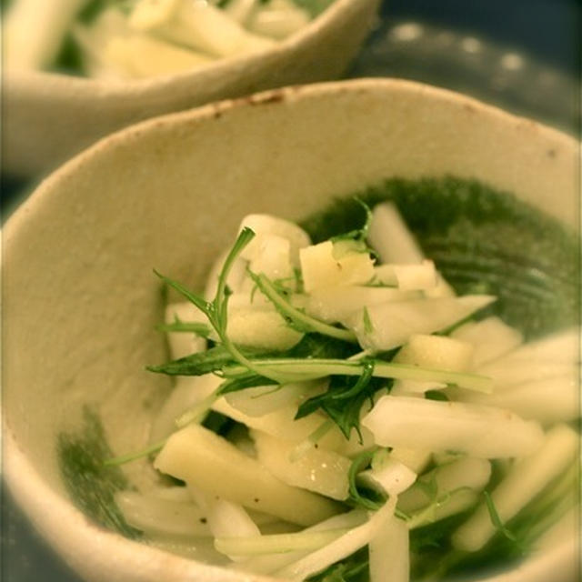 《レシピ》白菜とりんごと水菜のシャキシャキイタリアンサラダ