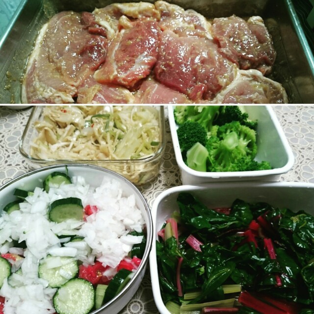 常備菜 6月4週前半  中華丼
