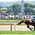 府中競馬場へ。ビギナーズラック！？