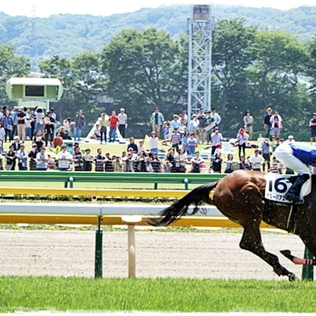 府中競馬場へ。ビギナーズラック！？