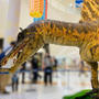アリオ橋本にスピノサウルスがいた！