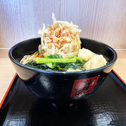 桜海老のミニかき揚げ天とほたて天〜菜の花添え〜を薬味ねぎ増量で啜る（番外編）〜名代 箱根そば〜