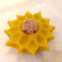 和菓子の勉強に