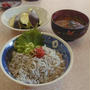 釜揚げしらす丼＆新玉葱と若芽のお味噌汁