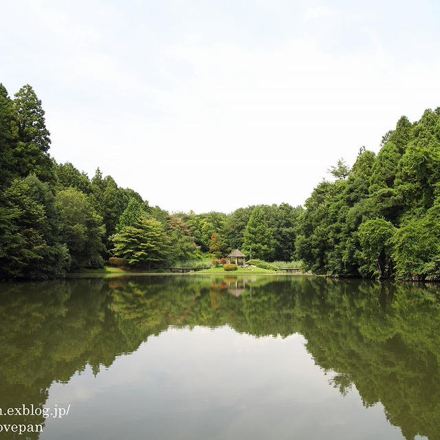 七ッ洞公園
