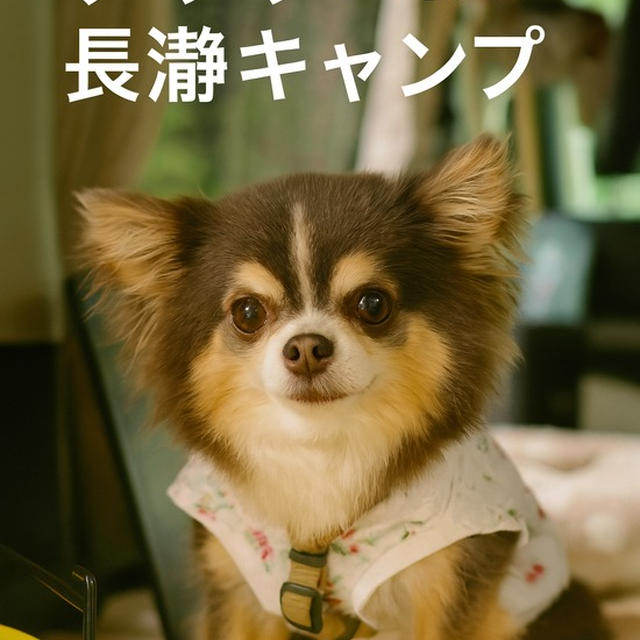 ミュージカル仲間と長瀞へ！偶然の趣味でつながる車中泊キャンプ」