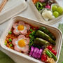 ケチャップライスに魚肉ソーセージとうずらのお花でかわいすぎる夫弁当