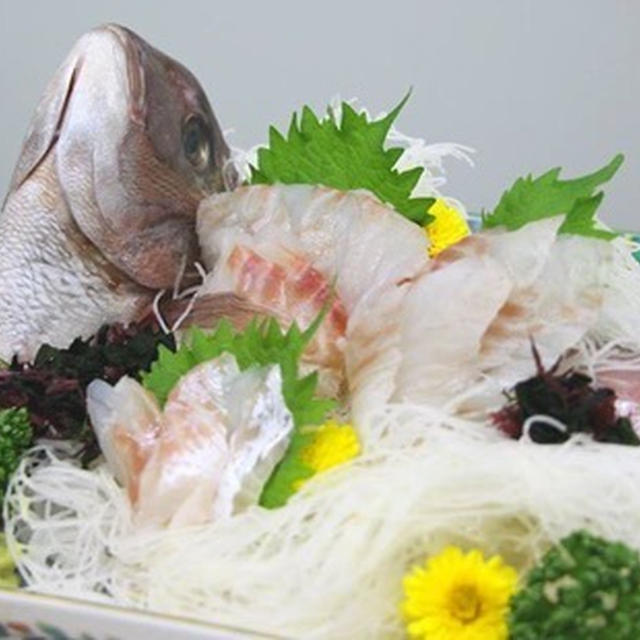 【募集開始】魚のおろし方講習≪特別編≫～大きな魚をおろしましょう～