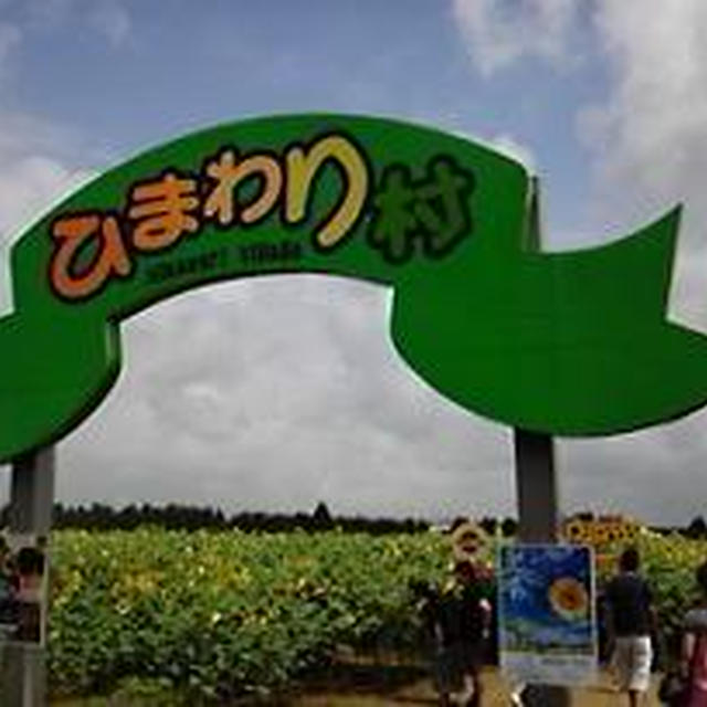 W迷路