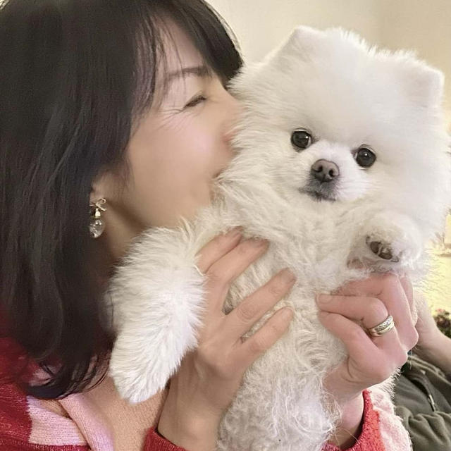 クリスマス前の楽しい準備