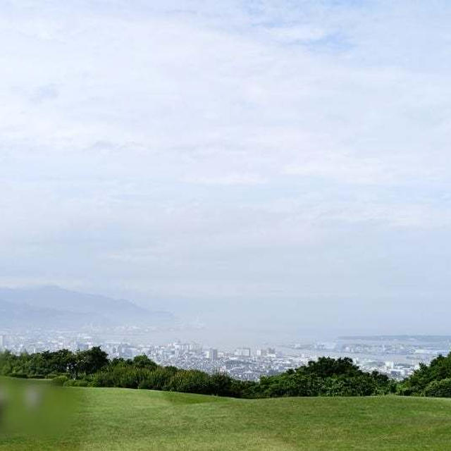 現実に引き戻される月曜の朝、ギリギリに家を出る日々です…