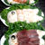 【レシピ】鯉のぼり　ちらし寿司(^^♪